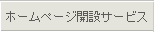 �ۡ���ڡ������ߥ����ӥ�